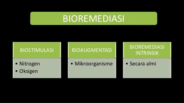 bioremediasi limbah b3